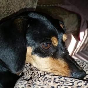 Meet your Posher, Regina